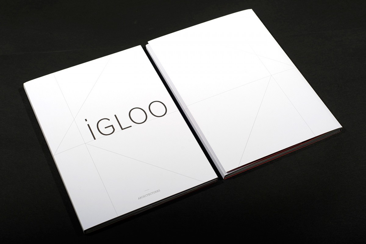BBrient-IGLOO-02